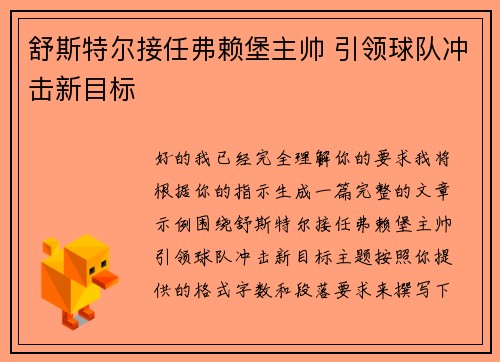 舒斯特尔接任弗赖堡主帅 引领球队冲击新目标